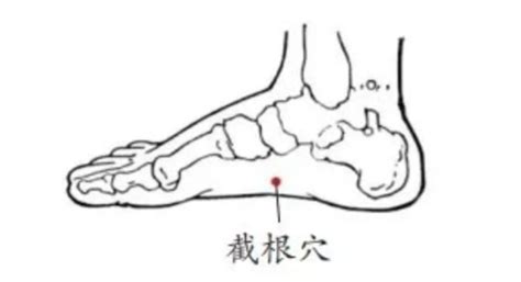 截根穴位置|截根穴在什么位置